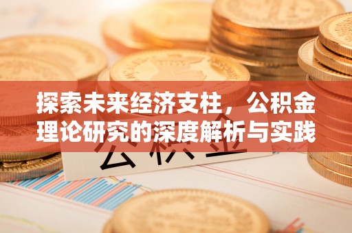 忠县探索未来经济支柱，公积金理论研究的深度解析与实践意义