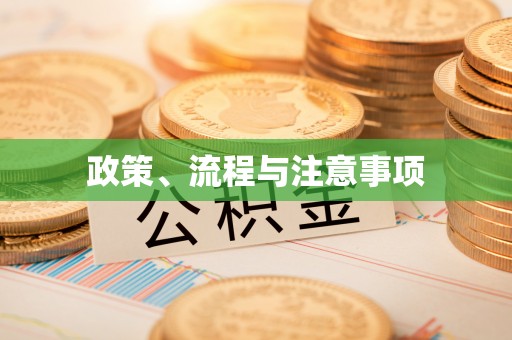 忠县政策、流程与注意事项