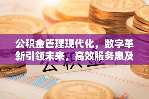 忠县公积金管理现代化，数字革新引领未来，高效服务惠及民生