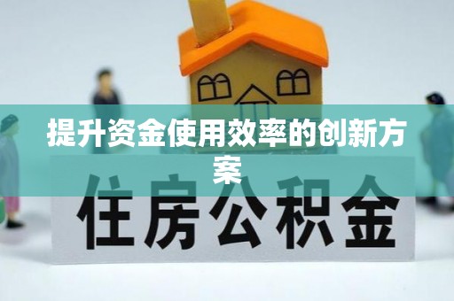 忠县提升资金使用效率的创新方案