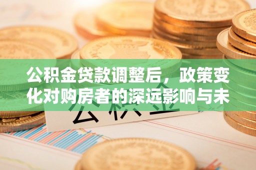忠县公积金贷款调整后，政策变化对购房者的深远影响与未来趋势分析