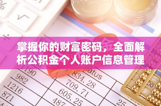 忠县掌握你的财富密码，全面解析公积金个人账户信息管理