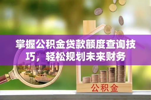 忠县掌握公积金贷款额度查询技巧，轻松规划未来财务
