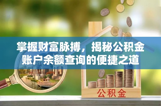 忠县掌握财富脉搏，揭秘公积金账户余额查询的便捷之道