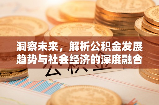 忠县洞察未来，解析公积金发展趋势与社会经济的深度融合