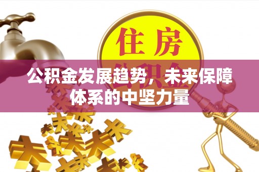 忠县公积金发展趋势，未来保障体系的中坚力量