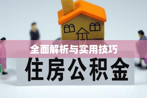 忠县全面解析与实用技巧