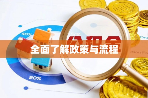 忠县全面了解政策与流程