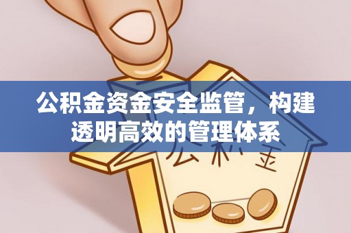 忠县公积金资金安全监管，构建透明高效的管理体系