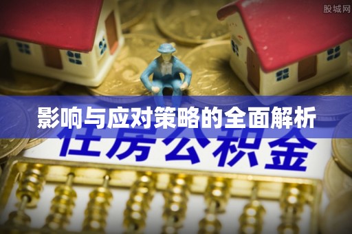 忠县影响与应对策略的全面解析