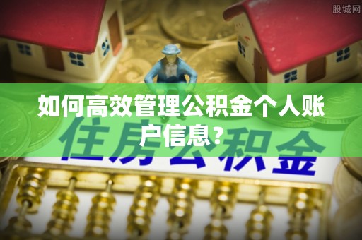 忠县如何高效管理公积金个人账户信息？