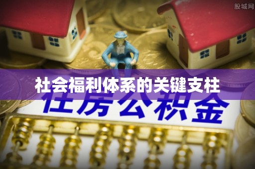 忠县社会福利体系的关键支柱