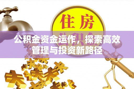 忠县公积金资金运作，探索高效管理与投资新路径