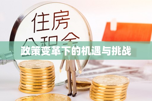 忠县政策变革下的机遇与挑战