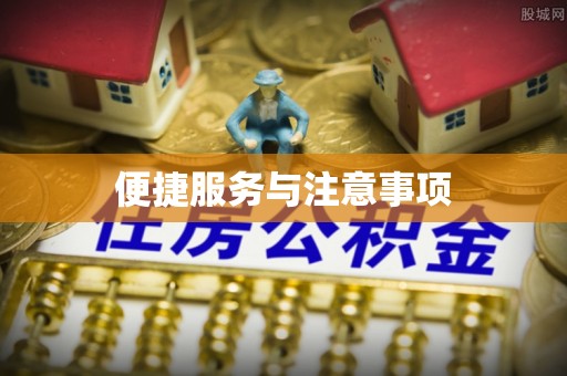 忠县便捷服务与注意事项