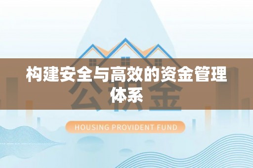 忠县构建安全与高效的资金管理体系