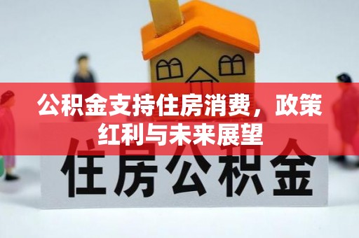 忠县公积金支持住房消费，政策红利与未来展望