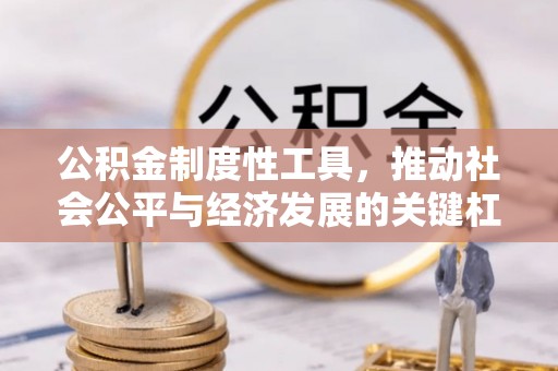 忠县公积金制度性工具，推动社会公平与经济发展的关键杠杆