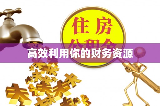 忠县高效利用你的财务资源