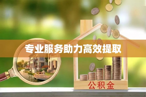 忠县专业服务助力高效提取