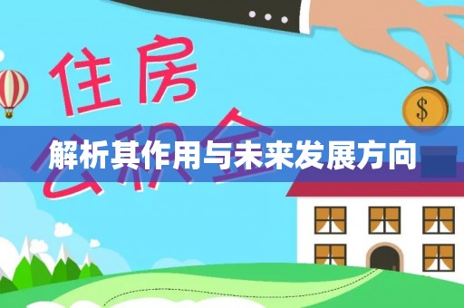忠县解析其作用与未来发展方向