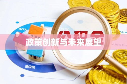 忠县政策创新与未来展望