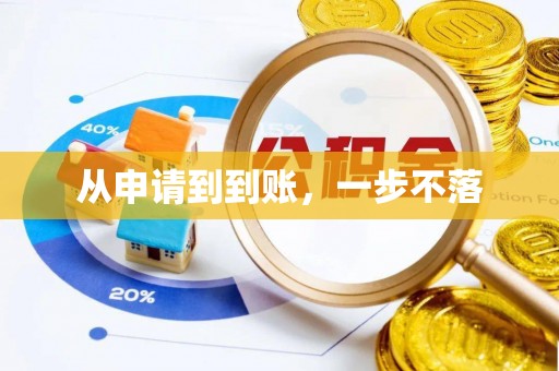 忠县从申请到到账，一步不落